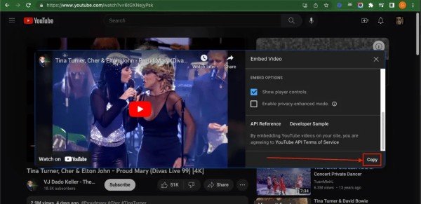 Customize the Embed Options